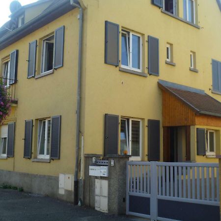Gite Le Schnouki Ostheim Exterior foto